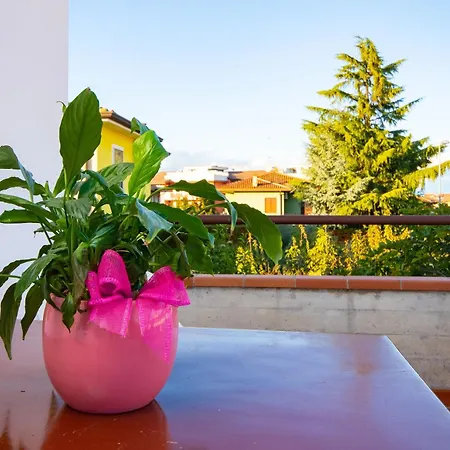 Il Grappolo Bilocale